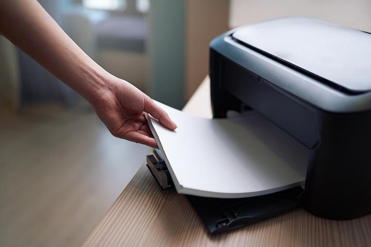 beli printer